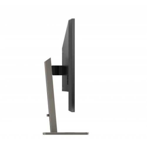 Монитор Philips 439P1 (439P1/00)