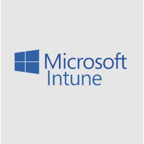 Офисное приложение Microsoft Intune P1Y Annual License (CFQ7TTC0LCH4_0009_P1Y_A)