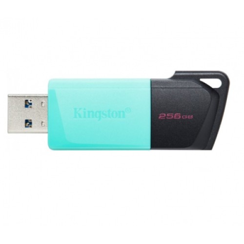 USB флеш накопитель Kingston 256GB DataTraveler Exodia M USB 3.2 (DTXM/256GB)