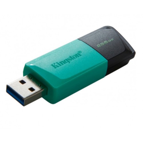 USB флеш накопитель Kingston 256GB DataTraveler Exodia M USB 3.2 (DTXM/256GB)