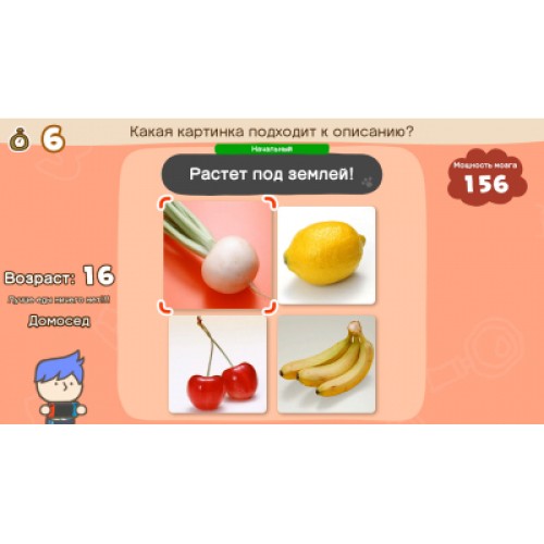 Игра Nintendo Switch Big Brain Academy: Brain vs. Brain (45496429164)