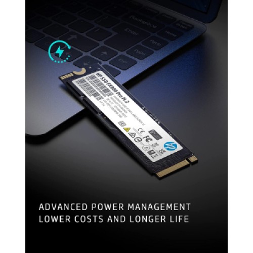 Накопитель SSD M.2 2280 1TB FX900 Pro HP (4A3U0AA)
