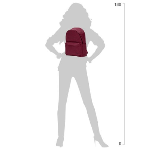 Рюкзак для ноутбука Xiaomi 14" RunMi 90 Points Youth College, 15L, Deep Red (6972125147981)