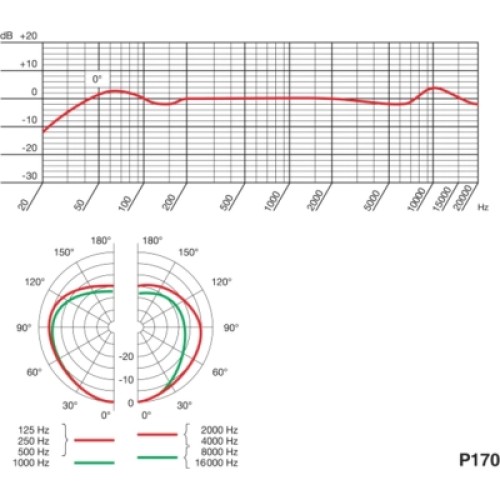 Микрофон AKG P170 (3101H00410)