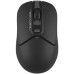 Мышка A4Tech FB12S Wireless/Bluetooth Black (FB12S Black)