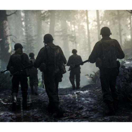 Игра Sony Call of Duty WWII [PS4] (1101406)
