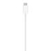Зарядное устройство Apple MagSafe Charger (MHXH3ZE/A)