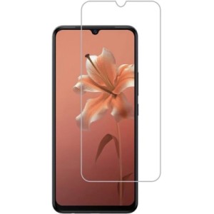 Стекло защитное Drobak Vivo V20 (232370)