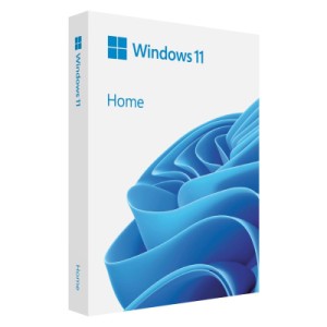 Операційна система Microsoft Windows 11 Home укр, FPP на USB носії (HAJ-00124)