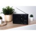 Портативный радиоприемник N'oveen PR450 Black (RL070857)