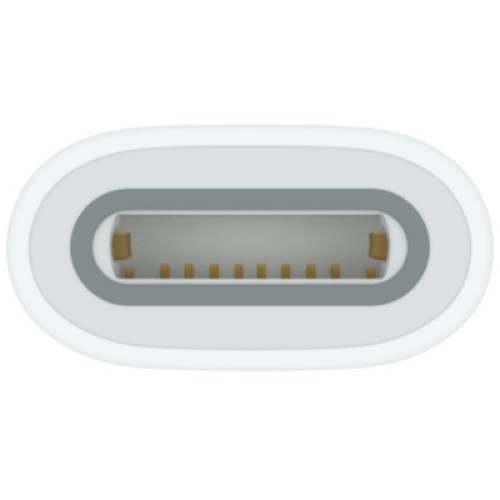 Адаптер Apple USB-C to Apple Pencil Adapter, Model A2869 (MQLU3ZM/A)