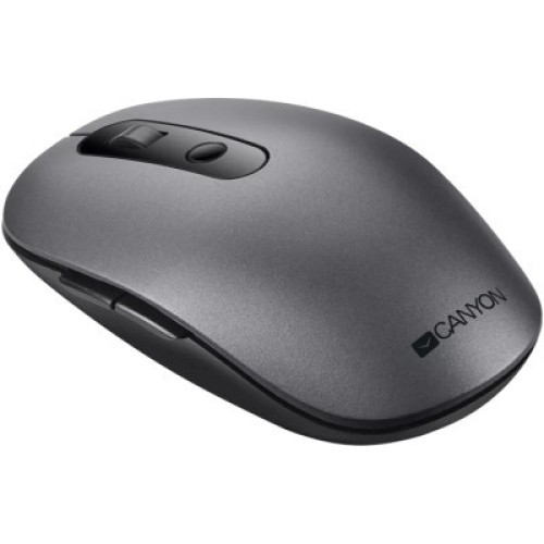 Мышка Canyon MW-9 Silent Wireless Gray (CNS-CMSW09DG)