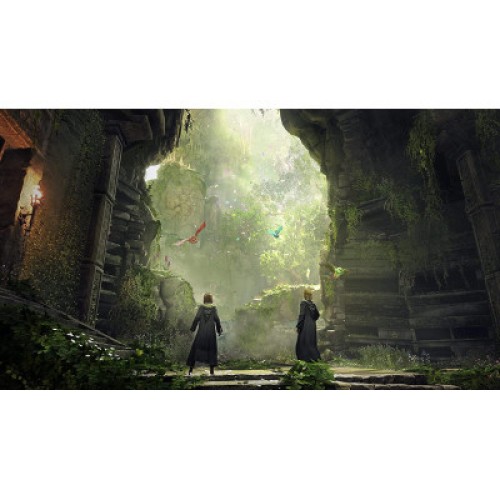 Игра Sony Hogwarts Legacy. Deluxe Edition, BD диск (5051895415412)