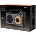 Портативный радиоприемник REAL-EL X-703