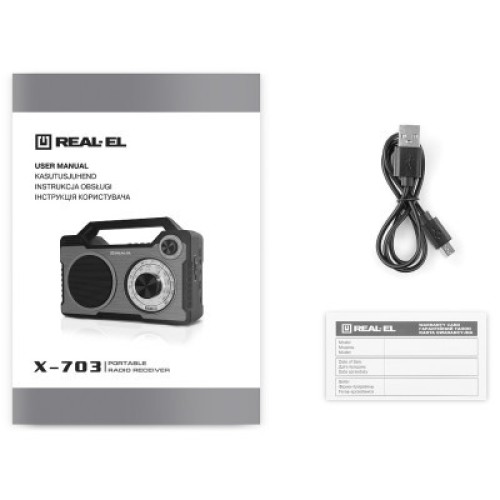Портативный радиоприемник REAL-EL X-703