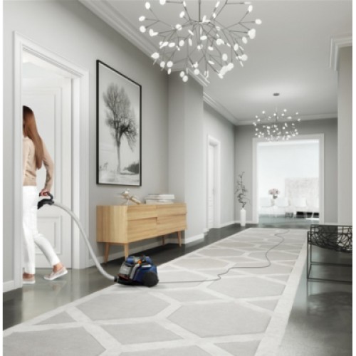 Пылесос Electrolux EUFC8ALRGY