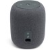 Акустическая система JBL Link Music Grey (JBLLINKMUSICGRYEU)