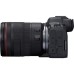 Цифровой фотоаппарат Canon EOS R6 Mark II + RF 24-105 f/4.0-7.1 IS STM (5666C030)