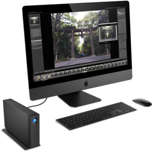 Внешний жесткий диск 3.5" 20TB LaCie (STHA20000800)