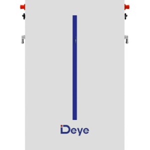 Батарея LiFePo4 Deye RW-M6.1-B, 51.2V-120Ah (RW-M6.1-B)