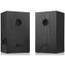 Акустическая система REAL-EL S-225 USB Black
