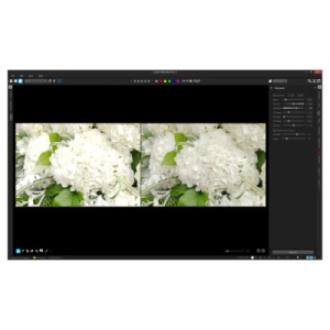 ПО для мультимедиа Corel AfterShot Pro 3 ML EN/DE Windows/Mac/Linux (ESDASP3MLPC)