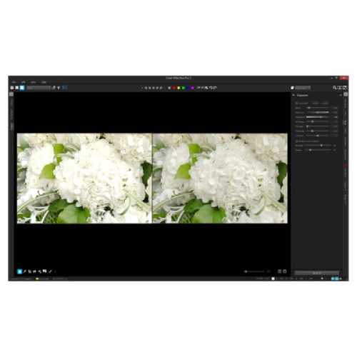 ПО для мультимедиа Corel AfterShot Pro 3 ML EN/DE Windows/Mac/Linux (ESDASP3MLPC)