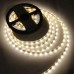 Светодиодная лента LED-STIL 4000K 6 Вт/м 2835 60 діодів IP33 24 Вольта 600 lm нейтральне світло (DFP2835-60A4-IP33-24V)