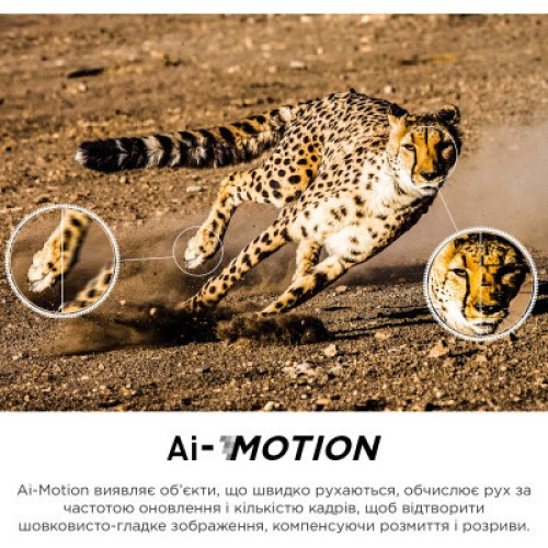 Телевизор TCL 55C845 Телевизор TCL 55C845