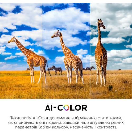 Телевизор TCL 55C645