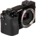 Цифровой фотоаппарат Sony Alpha 6100 Body Black (ILCE6100B.CEC)