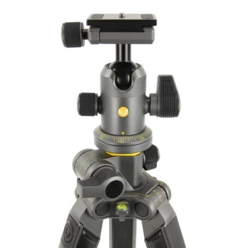 Штатив Vanguard Alta Pro 2+ 263AB 100 (DAS302029)