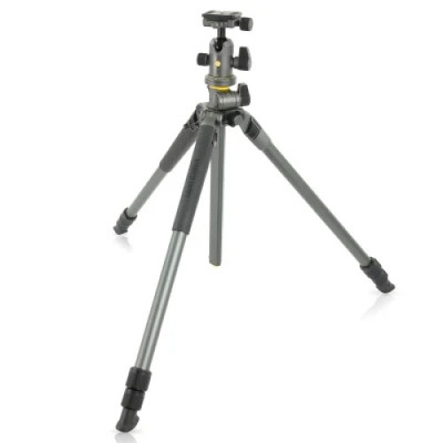 Штатив Vanguard Alta Pro 2+ 263AB 100 (DAS302029)