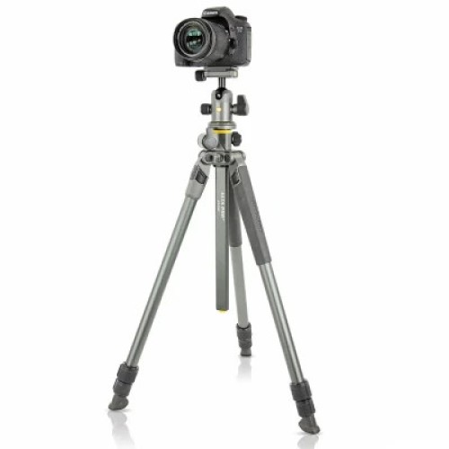 Штатив Vanguard Alta Pro 2+ 263AB 100 (DAS302029)