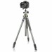 Штатив Vanguard Alta Pro 2+ 263AB 100 (DAS302029)