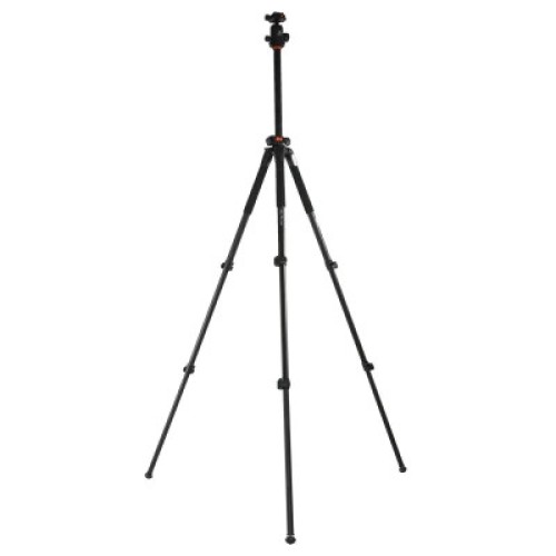 Штатив Vanguard Alta Pro 263AB 100 (DAS301277)