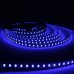 Светодиодная лента LED-STIL 9,6 Вт/м 2835 120 диодов IP33 12 Вольт 130 lm СИНИЙ цвет свечения (DFN2835-120A-IP33-B)