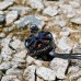 Двигун для дрона Foxeer Black Hornet 2806.5 1350KV (MT1122-01)