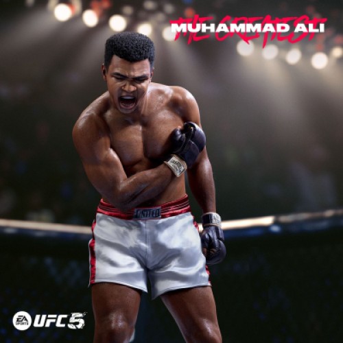 Игра Sony EA Sports UFC 5 , BD диск (5908305248255)