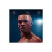 Игра Sony EA Sports UFC 5 , BD диск (5908305248255)