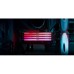 Модуль памяти для компьютера DDR5 16GB 6000 MHz Renegade RGB Kingston Fury (ex.HyperX) (KF560C32RSA-16)