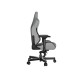 Кресло игровое Anda Seat T-Pro 2 Size XL Grey/Black (AD12XLLA-01-GB-F)