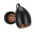 Бра Candellux 91-81391 Anica (91-81391)