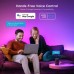 Светодиодная лента Govee RGBIC Basic Wi-Fi + Bluetooth LED Strip Light 5м Білий (H618A3D1)