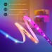 Светодиодная лента Govee RGBIC Basic Wi-Fi + Bluetooth LED Strip Light With Protective Coating 5м Білий (H619A3D1)