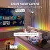 Светодиодная лента Govee RGBIC Basic Wi-Fi + Bluetooth LED Strip Light With Protective Coating 5м Білий (H619A3D1)