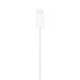 Зарядное устройство Apple Watch Magnetic Fast Charger to USB-C Cable (1 m) (MT0H3ZM/A)