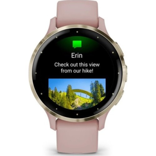 Смарт-часы Garmin Venu 3S, Dust Rose + Soft Gold, GPS (010-02785-03)