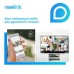 Камера видеонаблюдения Reolink Duo 2 LTE