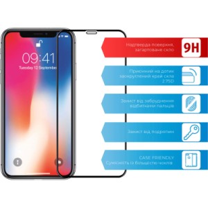 Стекло защитное ACCLAB Full Glue Apple iPhone X/XS/11 Pro (1283126508189)